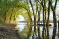 ������ �� �������. 29 ���� ������������ ���������� ���������� � ���������