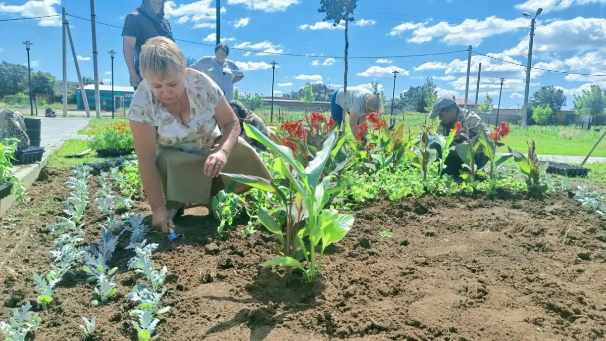 В сквере «Антикормаш» высадили свыше тысячи цветов В сквере «Антикормаш» высадили свыше тысячи цветов