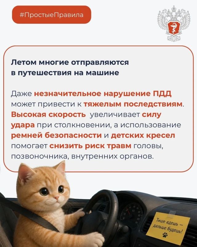 #ПростыеПравила: Как избежать травм на дорогах? #ПростыеПравила: Как избежать травм на дорогах?