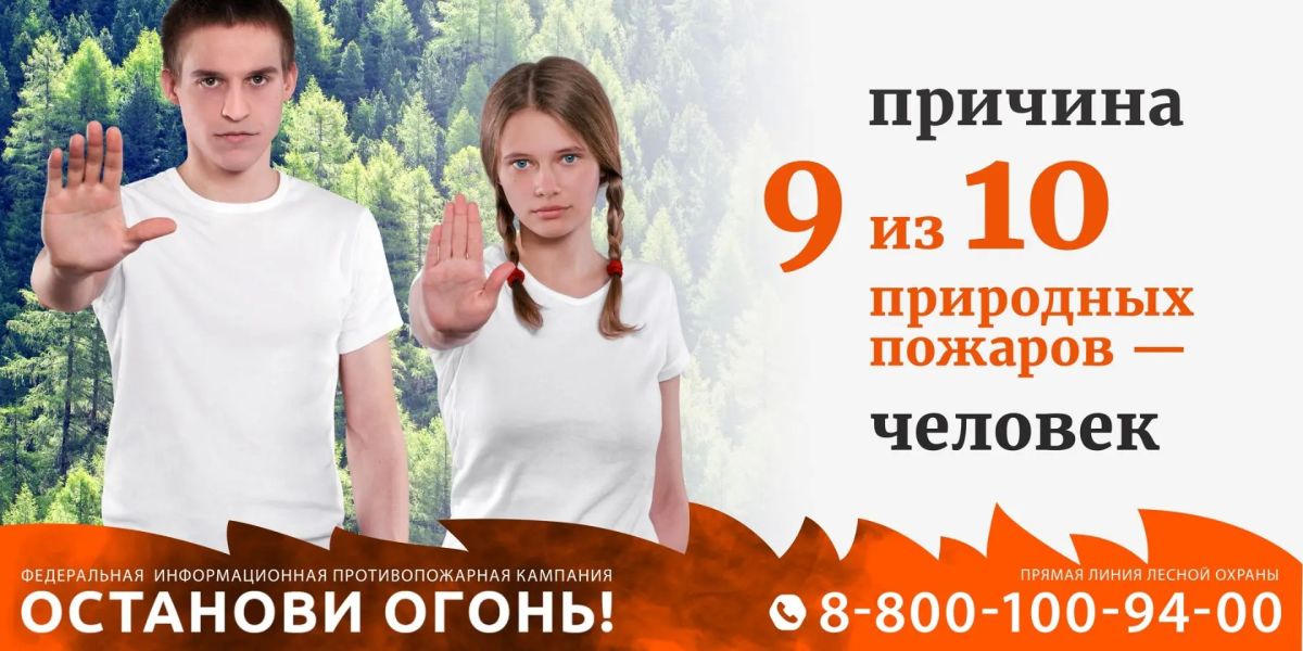 За прошедшую неделю по состоянию на 6 июля на землях лесного фонда в Астраханской области лесных пожаров не зарегистрировано