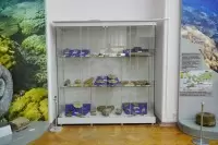 Астраханский музей-заповедник получил новое оборудование благодаря нацпроекту «Семья»