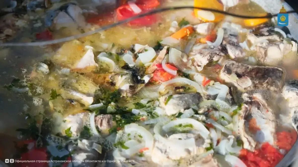 На Центральной набережной состоялось праздничное мероприятие, посвященное Дню рыбака На Центральной набережной состоялось праздничное мероприятие, посвященное Дню рыбака