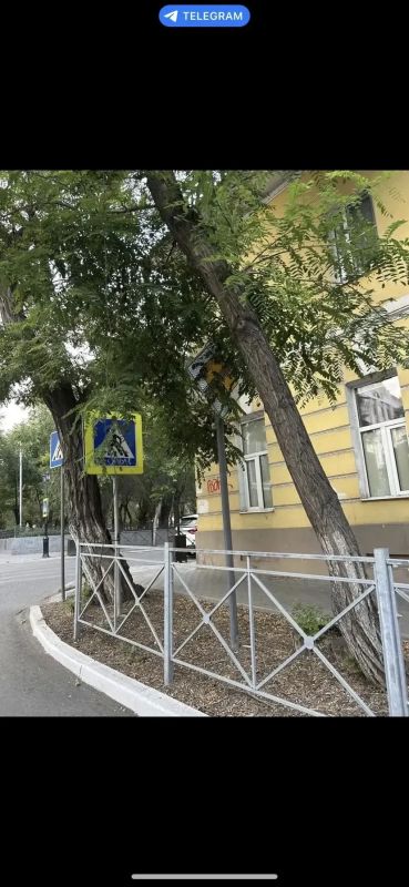 В областном центре пресечены нарушения ПДД, выявленные в ходе интернет-мониторинга В областном центре пресечены нарушения ПДД, выявленные в ходе интернет-мониторинга