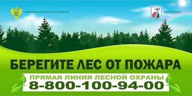 За прошедшую неделю по состоянию на 20 июля на землях лесного фонда в Астраханской области лесных пожаров не зарегистрировано