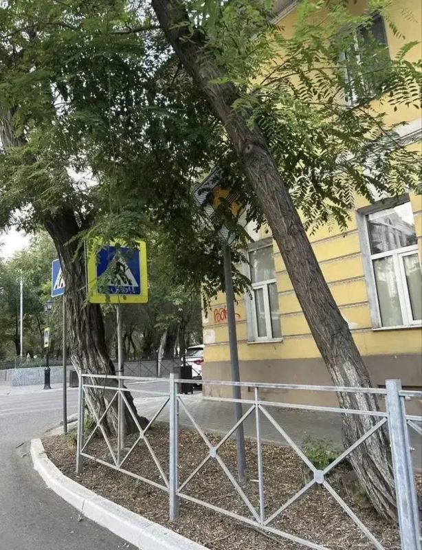 В областном центре пресечены нарушения ПДД, выявленные в ходе интернет-мониторинга В областном центре пресечены нарушения ПДД, выявленные в ходе интернет-мониторинга