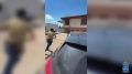 � ��������� ������� ������ �������� �� ���� ������������� �������
