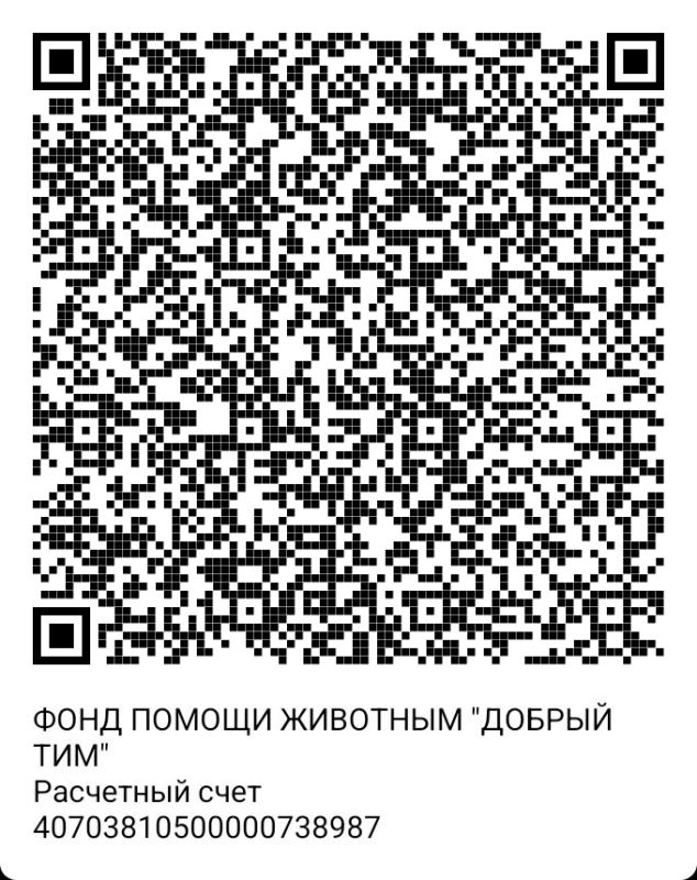 В Астраханском приюте "Верный друг" создалось катастрофически серьёзная ситуация В Астраханском приюте "Верный друг" создалось катастрофически серьёзная ситуация
