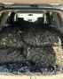 Дорожными полицейскими пресечена перевозка более 300 килограммов ракообразных