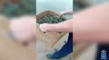 Дорожными полицейскими задержан местный житель, в автомобиле которого находились более 200 кг ракообразных