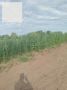 ����� �������� ����� ����2026� � ����������� ������