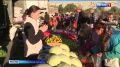 � ��������� ��������� ����� 200 ���������� �������� �� ���� �������