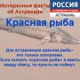 Интересные факты об Астрахани