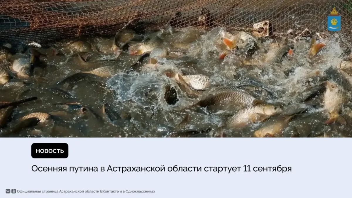 На промысел выйдут около 65 рыбодобывающих организаций