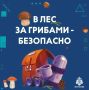 ��� �� ��������� ������ �����?
