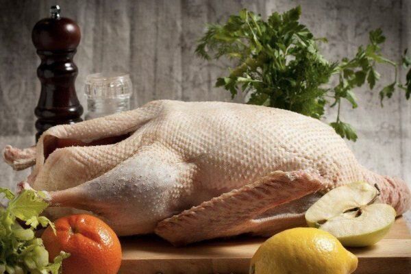 Утиное мясо: чем оно полезно и как ускорить набор веса у птицы