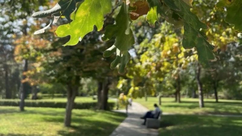 Астраханцы не готовы превратить ноябрьские праздники в отпуск