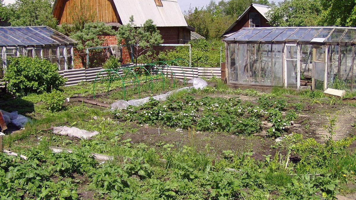 Когда лучше купить дачу: весной или осенью?